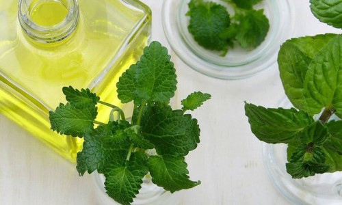 Peppermint Oil Uses