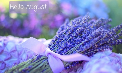 Lavender Essential Oil